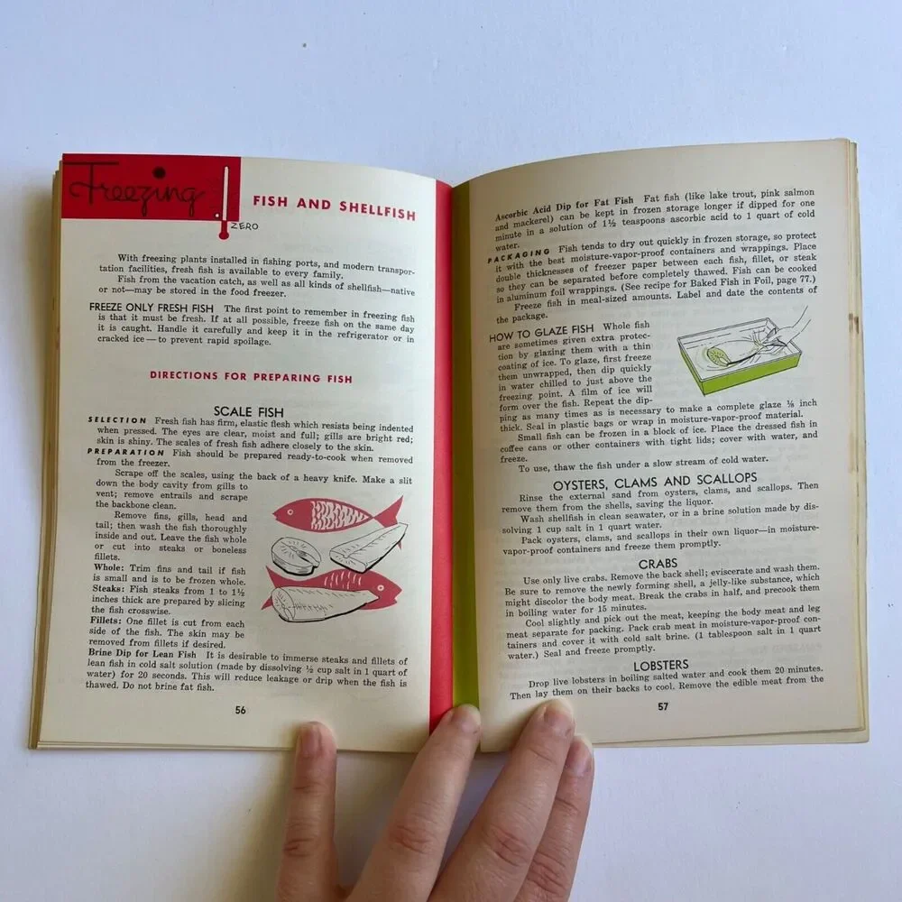 Vintage 1963 Cookbook Freezing Foods at Home Paperback
